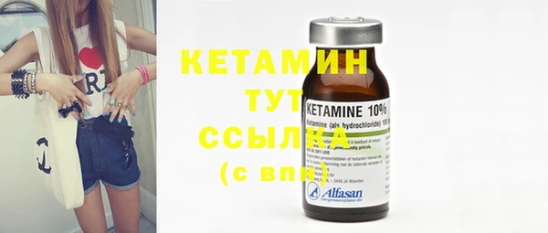 амф Верхний Тагил