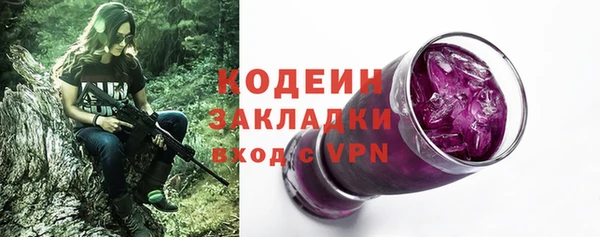 амф Верхний Тагил