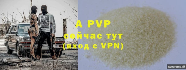 амф Верхний Тагил