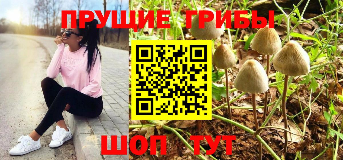 Псилоцибиновые грибы мицелий  Вход с VPN  Ковров  Псилоцибиновые грибы MAGIC MUSHROOMS 